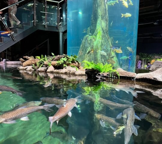 Aquaria KLCC