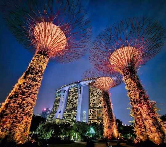 Gardens by the Bay