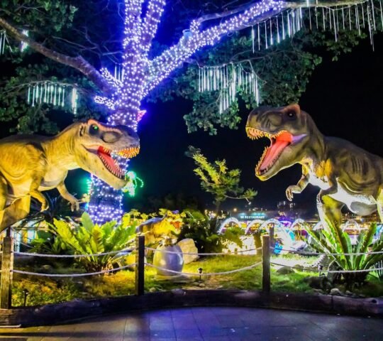 99 Wonderland Park
