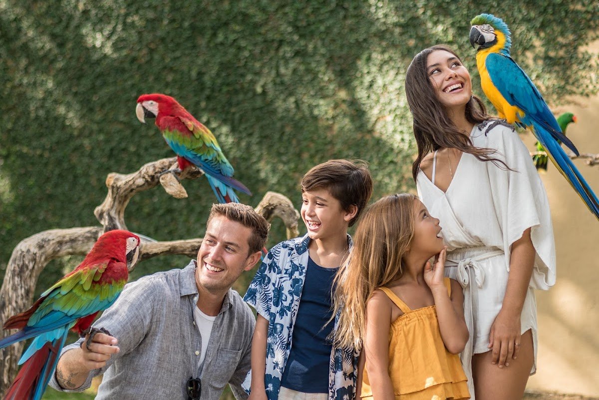 8 Activities and Attractions at Bali Bird Park