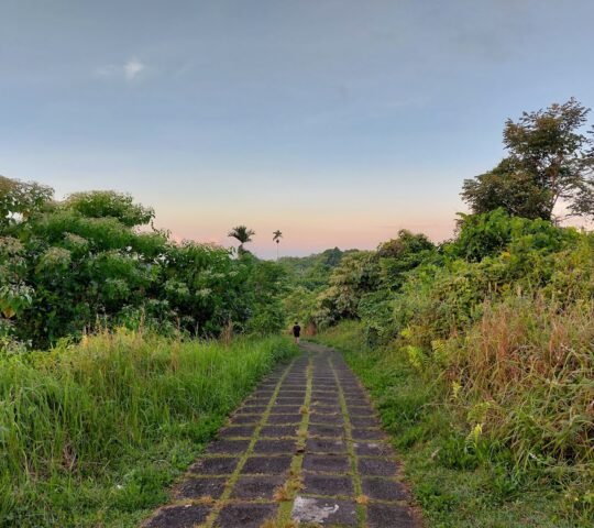 Campuhan Ridge Walk
