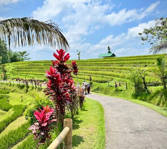 Jatiluwih Rice Terraces