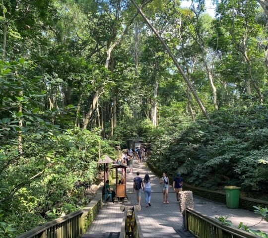 Monkey Forest Ubud