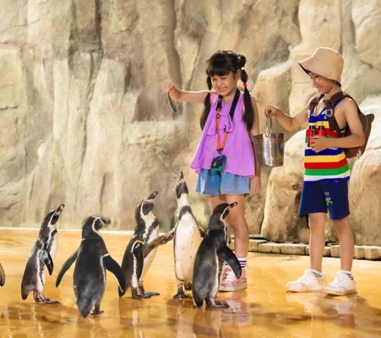 Ocean Dream Samudra Ancol