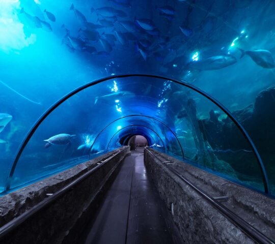 Sea World Ancol