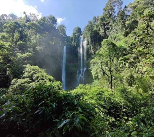 Sekumpul Waterfall