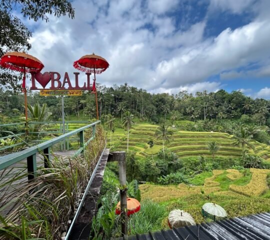 Tegallalang Rice Terrace
