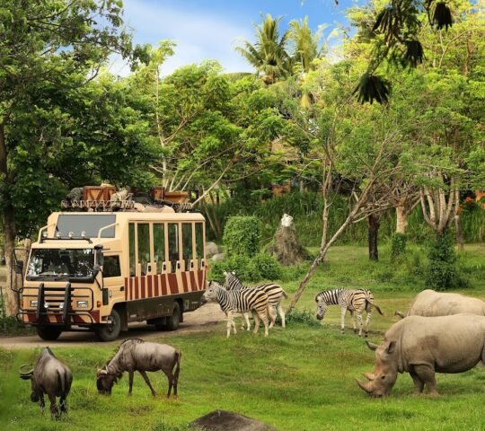 The Amazing Taman Safari Bali