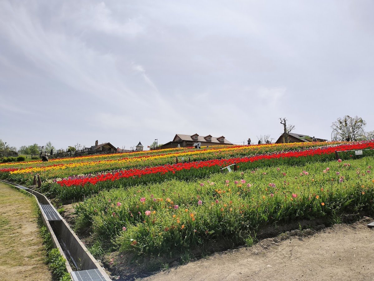 Harvest Hill Osaka - Family-friendly attractions in Osaka