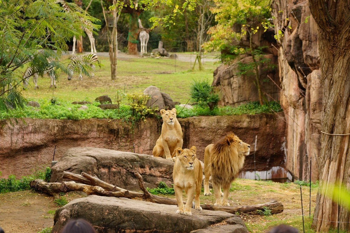 Tennoji Zoo - Family-friendly attractions in Osaka